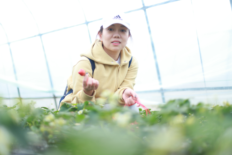 1745891371916064.png Axgnme.png